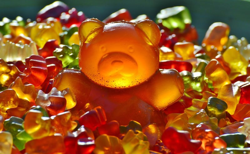 Fruit-bearing climbers
