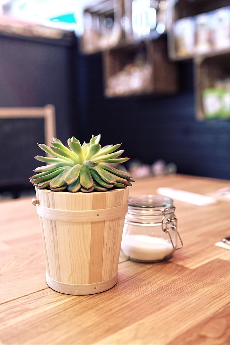 Indoor planters